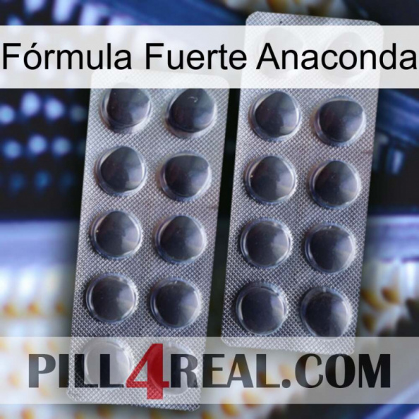 Fórmula Fuerte Anaconda 31.jpg